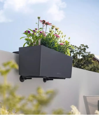 juodos spalvos lechuza balconera laikikliai