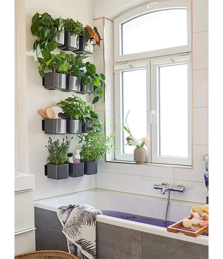 vazonas gelems lechuza