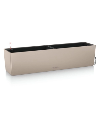 sviesiai rudas lovelis gelems lechuza