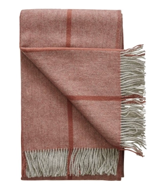 vilnonis pledas dryzuotas