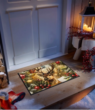 kaledinis duru kilimelis namams