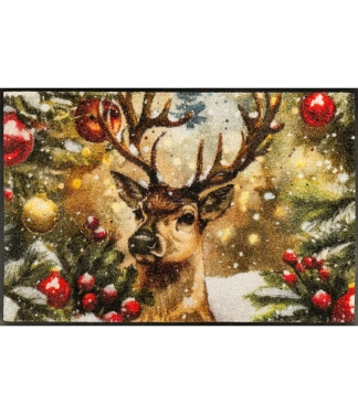 kaledinis duru kilimas namams