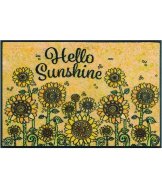 plaunamas duru kilimelis geles