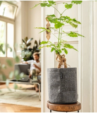 Išmanusis vazonas Lechuza TRENDCOVER veltinis