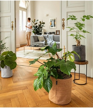 Išmanusis vazonas Lechuza Trendcover kamštinis