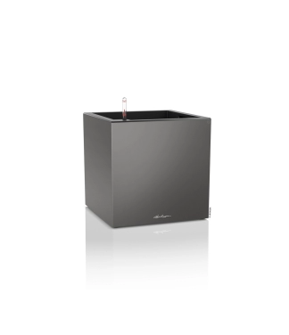 pilkas lechuza canto premium vazonas