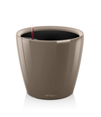 lechuza vazonas classico rudas