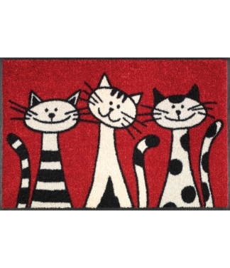 Lauko durų kilimėlis namams Three cats