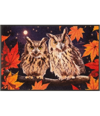 Durų kilimėlis su pelėdomis Night Owls