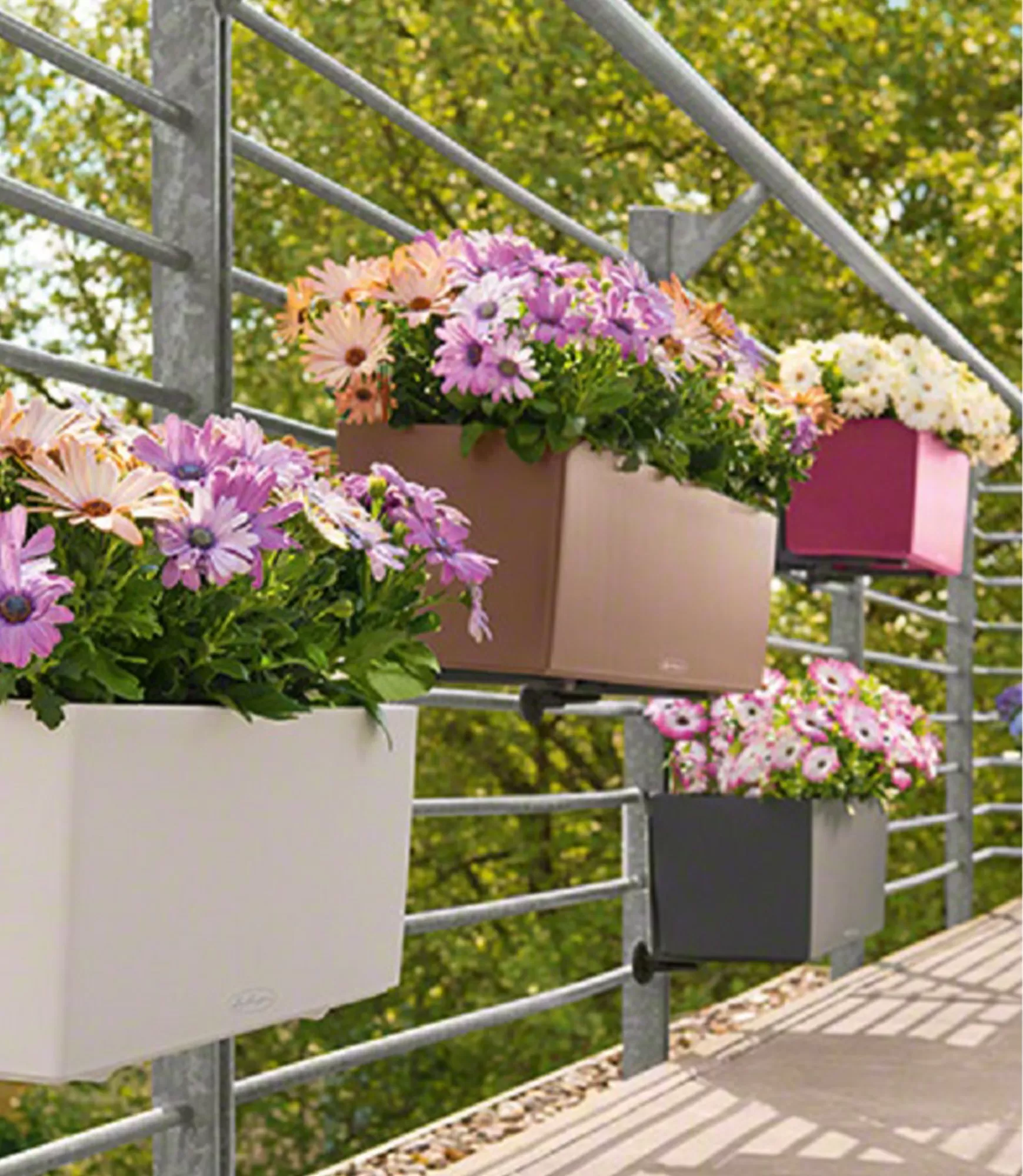 Lauko vazonas Lechuza Balconera Color 50 16 vazonai lauko ir vidaus lechuza 16