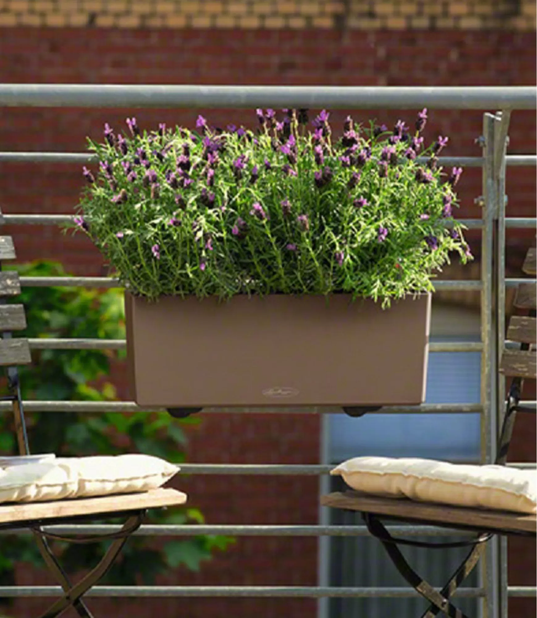 Lauko vazonas Lechuza Balconera Color 50 23 sviesiai rudas lovelis gelems 23