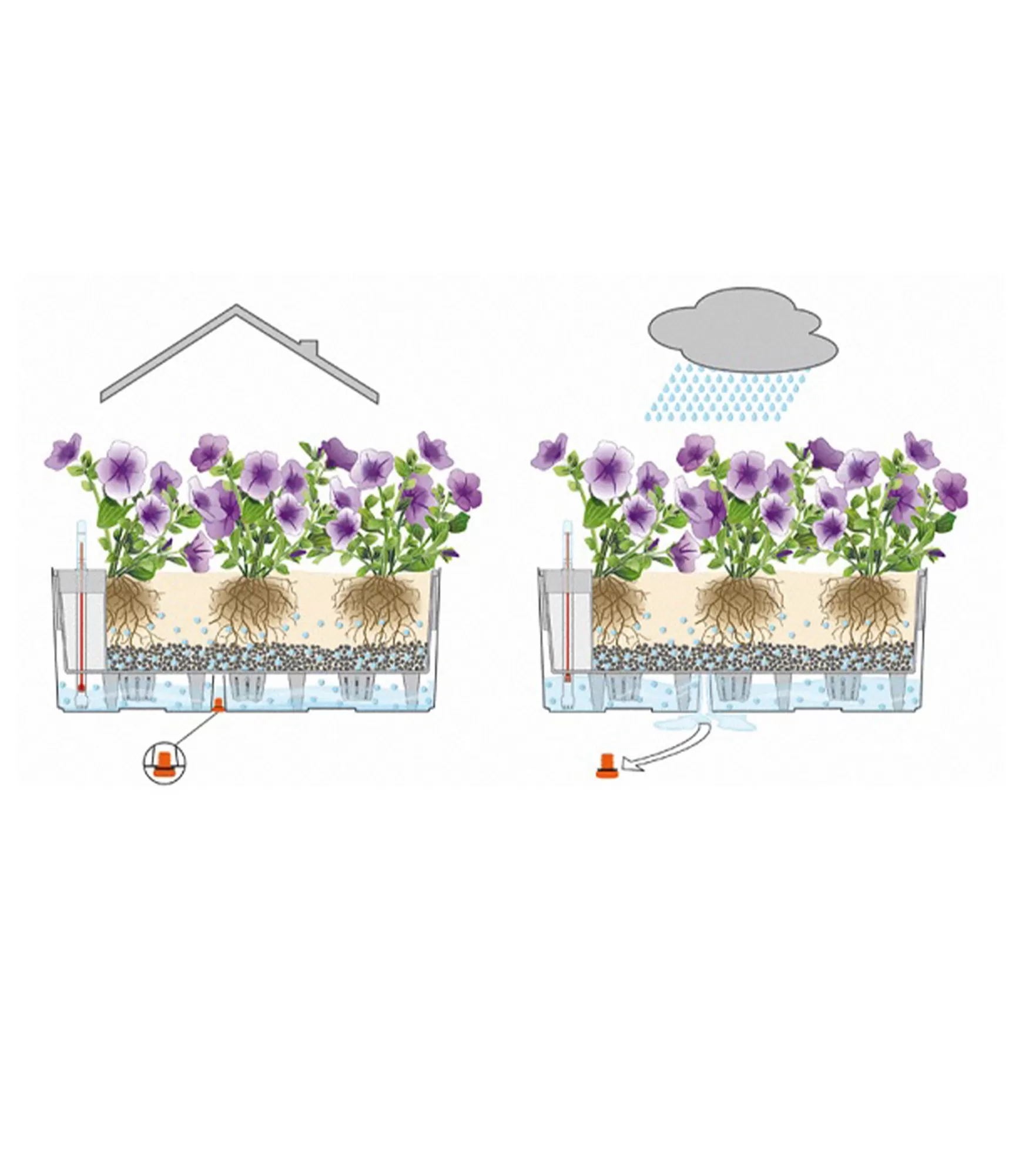 Lauko vazonas Lechuza Balconera Color 50 24 vazonai lauko ir vidaus 24