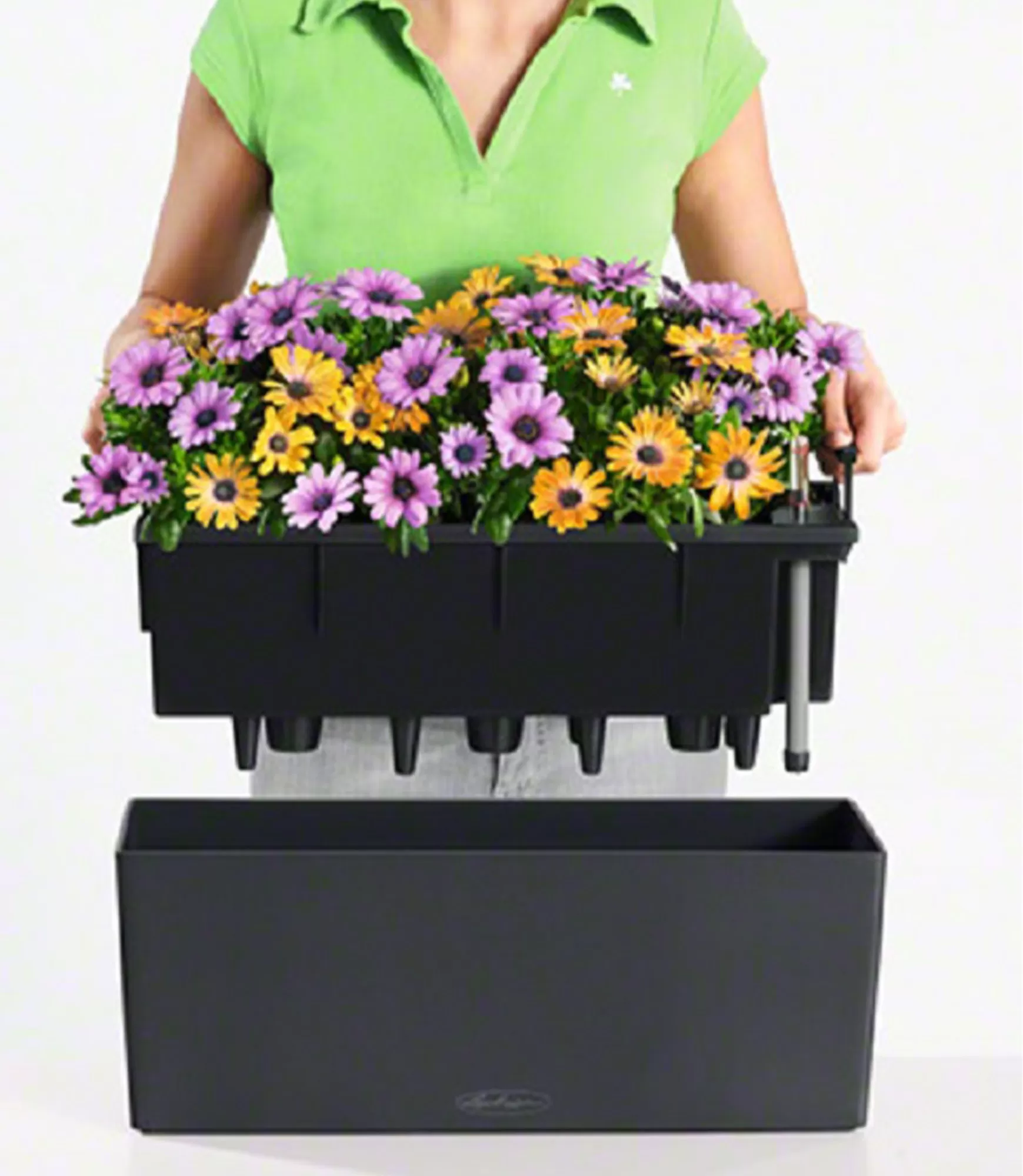 Lauko vazonas Lechuza Balconera Color 50 25 lovelis gelems su gelemis 25