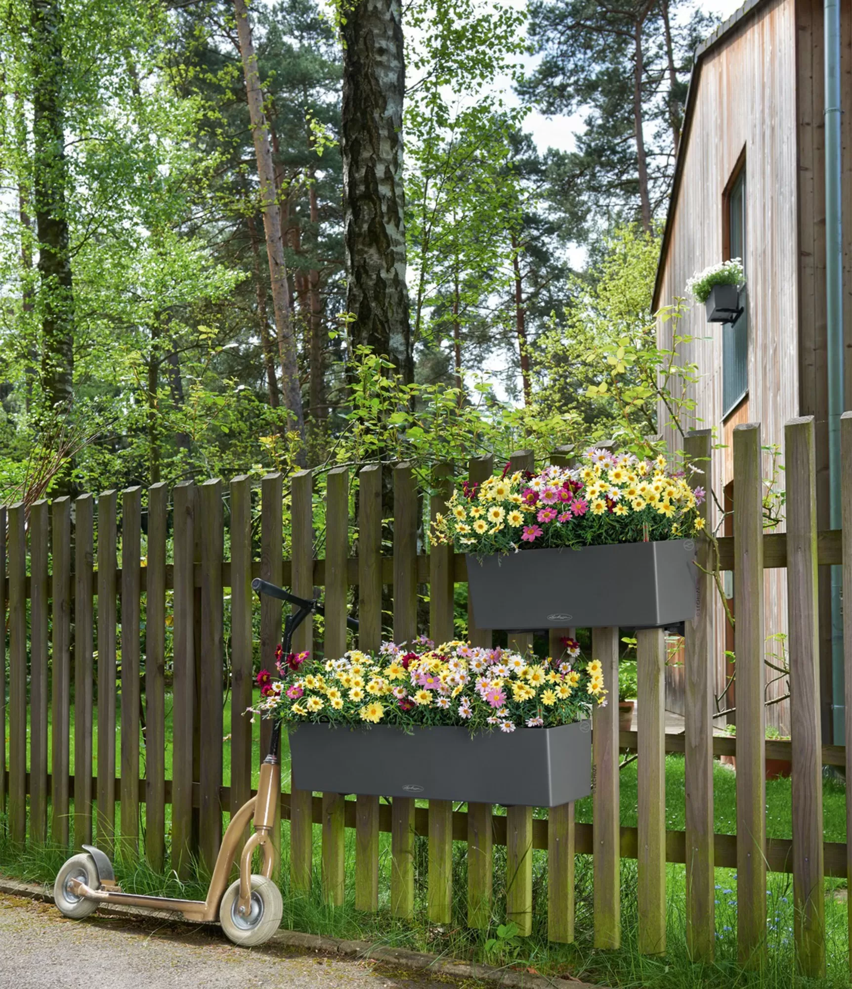 Lauko vazonas Lechuza Balconera Color 50 13 lechuza vazonai gera kaina internetu 13