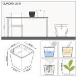 lechuza quadro ismatavimai 6