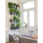 vazonas gelems lechuza 5