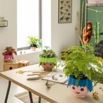 geliu vazonas lechuza interjere 5