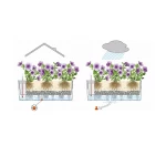 lechuza balconera ismatavimai 6