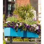 plastikiniai vazonai lechuza interjere 7