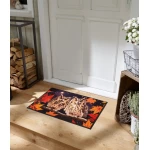 plaunamas duru kilimelis su peledomis 1