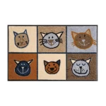 duru kilimelis su katinu atvaizdu 1