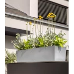 Nerūdijančio plieno Lechuza vazonas Balconera Steel 50 3