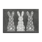 wash+dry duru kilimelis kiskiai 1