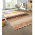 rudas kilimas svetainei wash+dry 2