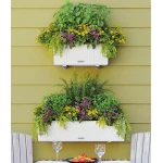 lovelis gelems lechuza balconera 8