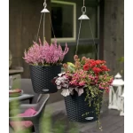 Pakabinamas vazonas Lechuza Nido Cottage 35 4