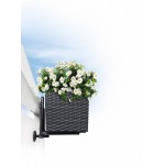 Lovelis gėlėms Lechuza Balconera Cottage 50 3