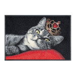 Durų kilimėlis Royal Cat
