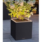 Lechuza vazonas Canto Slatestone LED 1