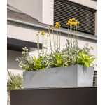 Nerūdijančio plieno Lechuza vazonas Balconera Steel 50 3