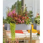 Nerūdijančio plieno Lechuza vazonas Balconera Steel 80 3