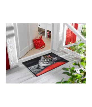 namų durų kilimėlis su katinu