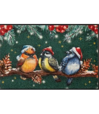 Kalėdinė dovana draugams kilimėlis Magic Birds