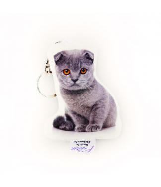 Personalizuotas raktų pakabukas su katino nuotrauka