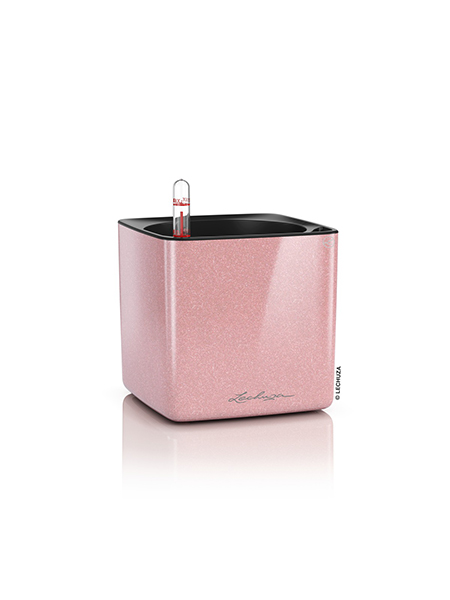 Cube Glossy Kiss 14 5 Cube Glossy Kiss 14 5
