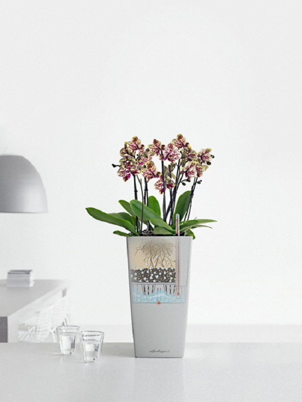 Stilingas plastikinis vazonas gėlėms Lechuza Cubico 22 8