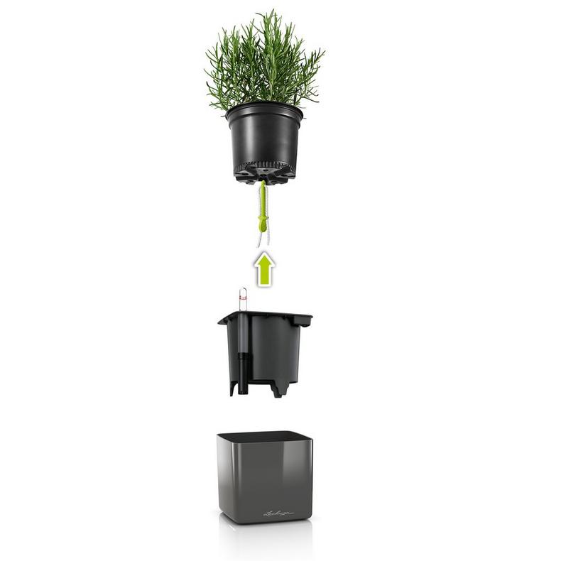Žaliosios augalų sienos rinkinys Cube Glossy 1