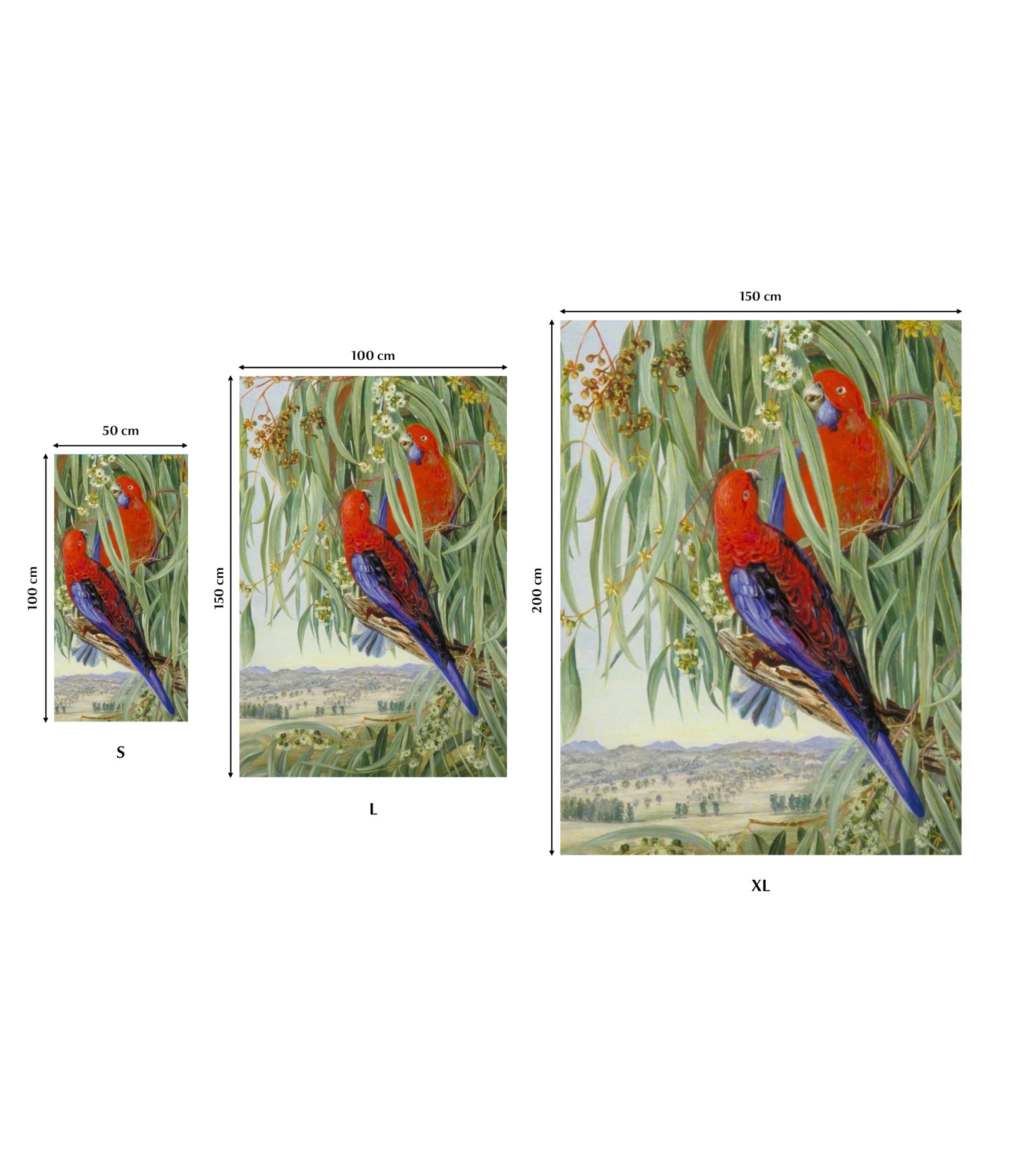 Rankšluostis Marianne North Papūgos 125-TW-185 3 kokybiški rankšluosčiai su spauda 3