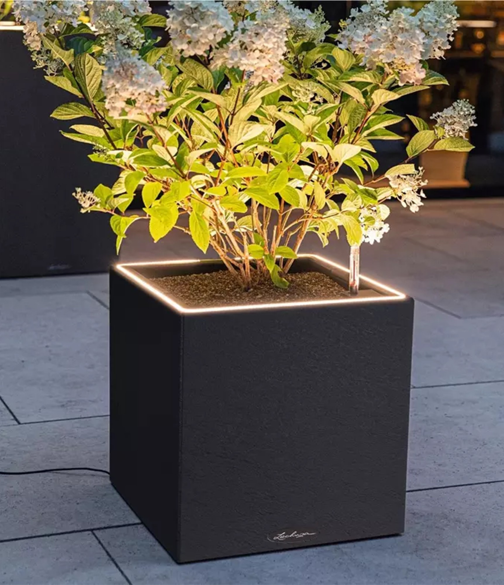Lechuza vazonas Canto Slatestone LED 4 Lechuza vazonas Canto Slatestone LED 4