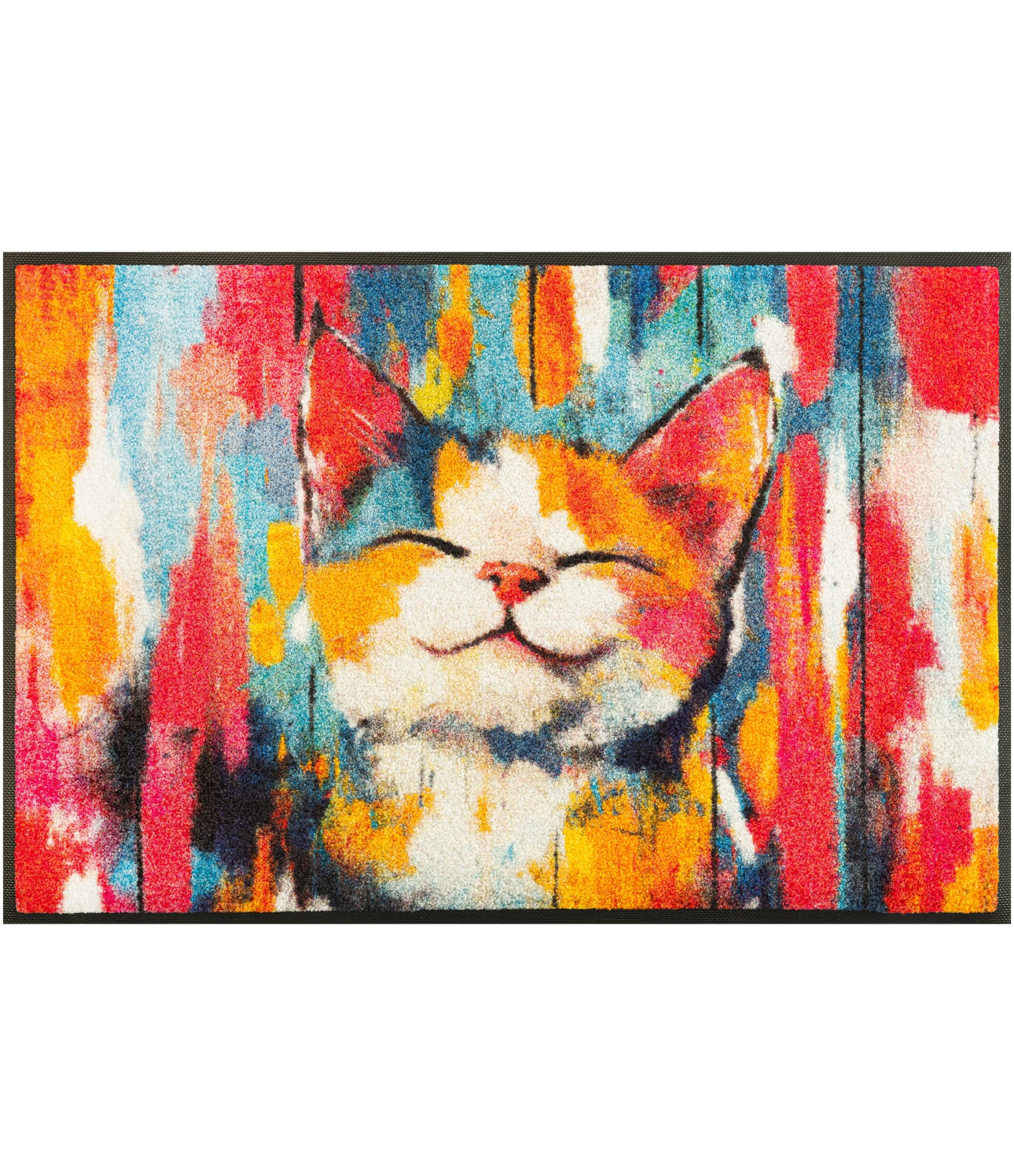 duru kilimėlis katinas wash + dry